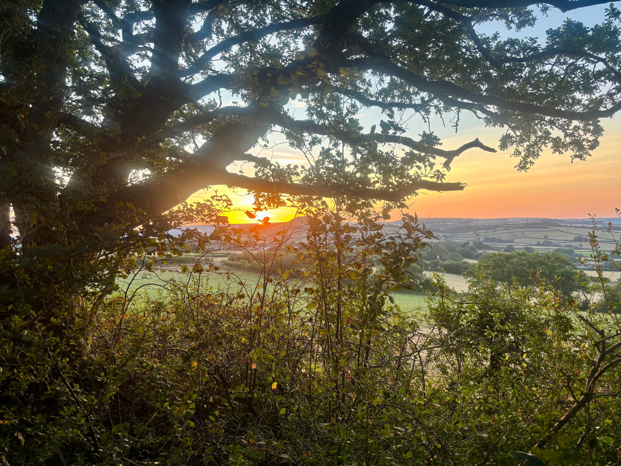 Four Nights in Dorset