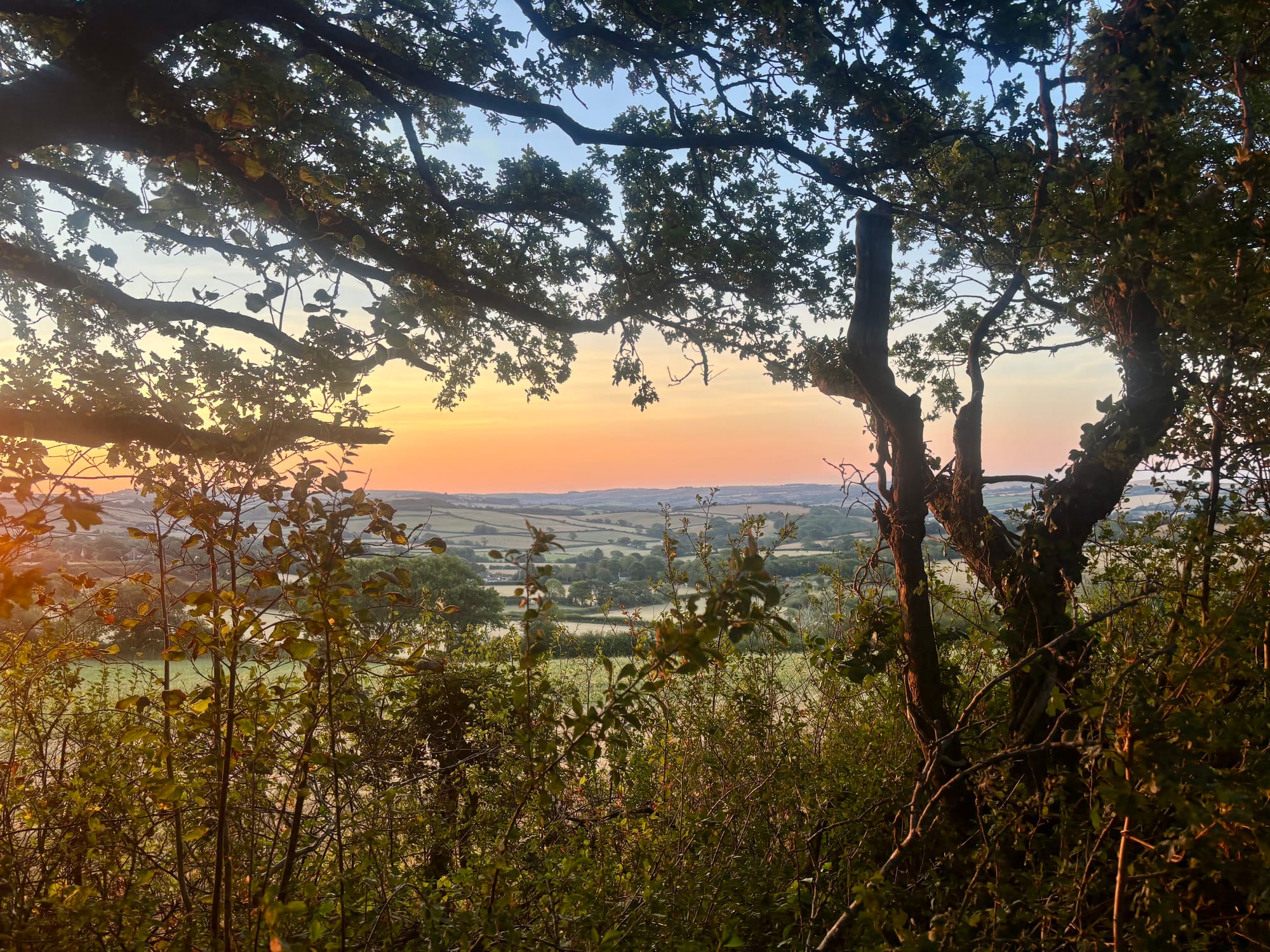 Four Nights in Dorset