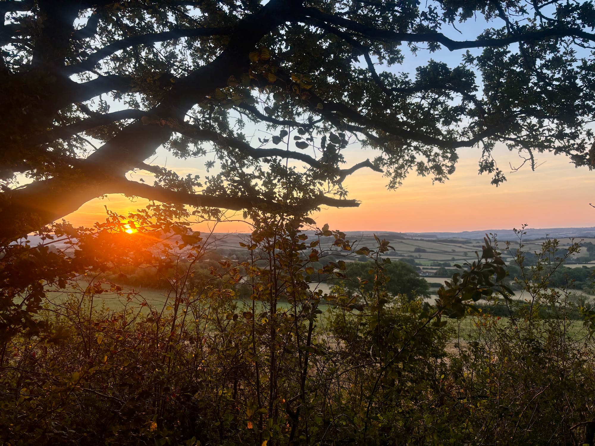Four Nights in Dorset