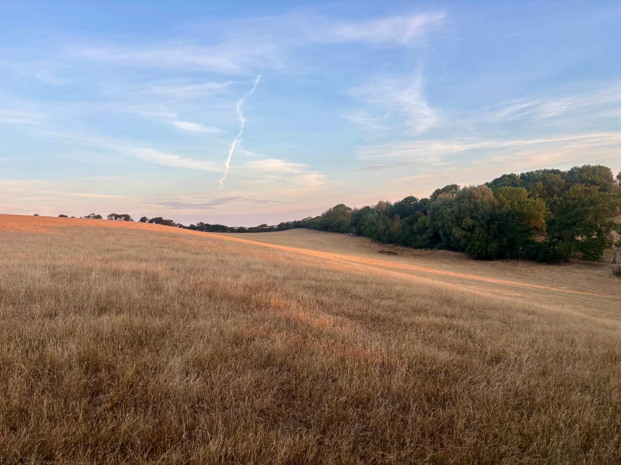 Four Nights in Dorset