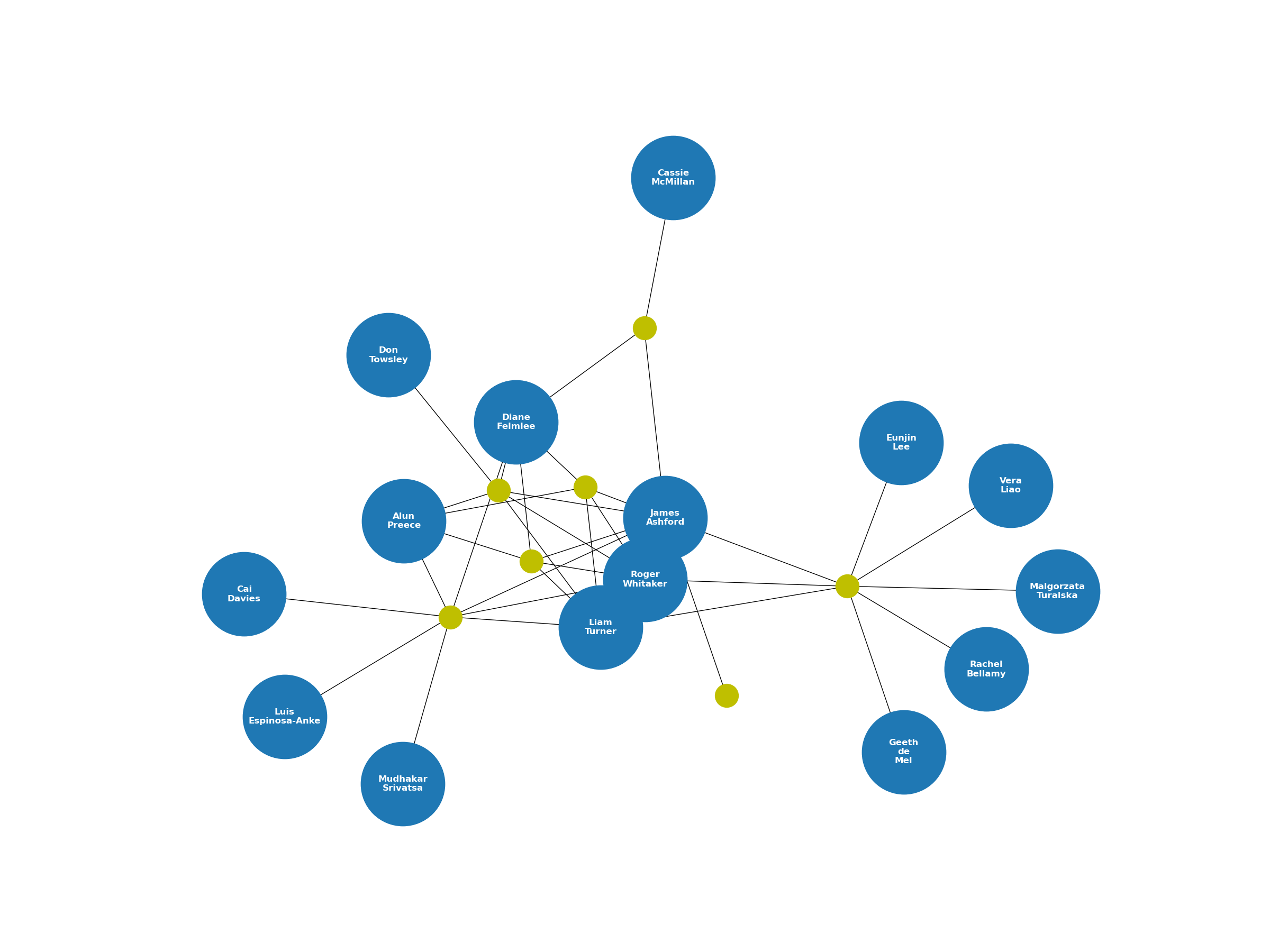 Visualising Paper Co-Author Collaboration Networks